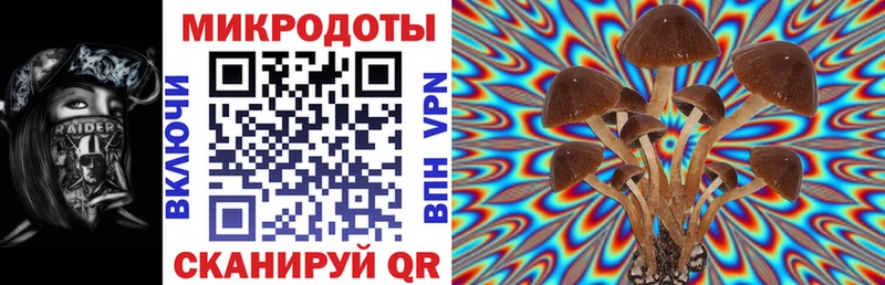 наркошоп  Тында  Галлюциногенные грибы ЛСД 
